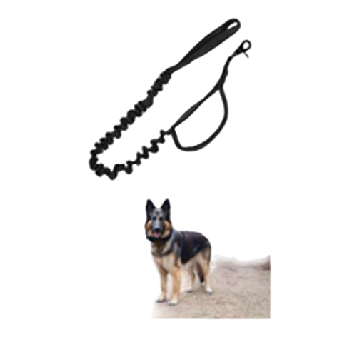  K9 ID Service Collar  (TS - 001)