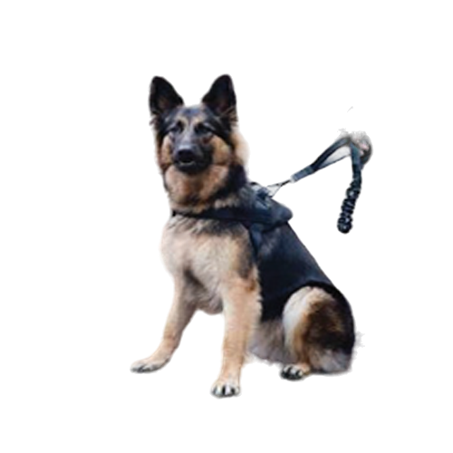  K9 Duty Harness  (TS -130)