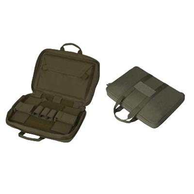  Double Pistol Case  TS - 461